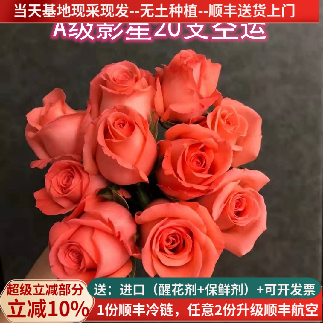 粉色玫瑰A级影星鲜花20支情人节