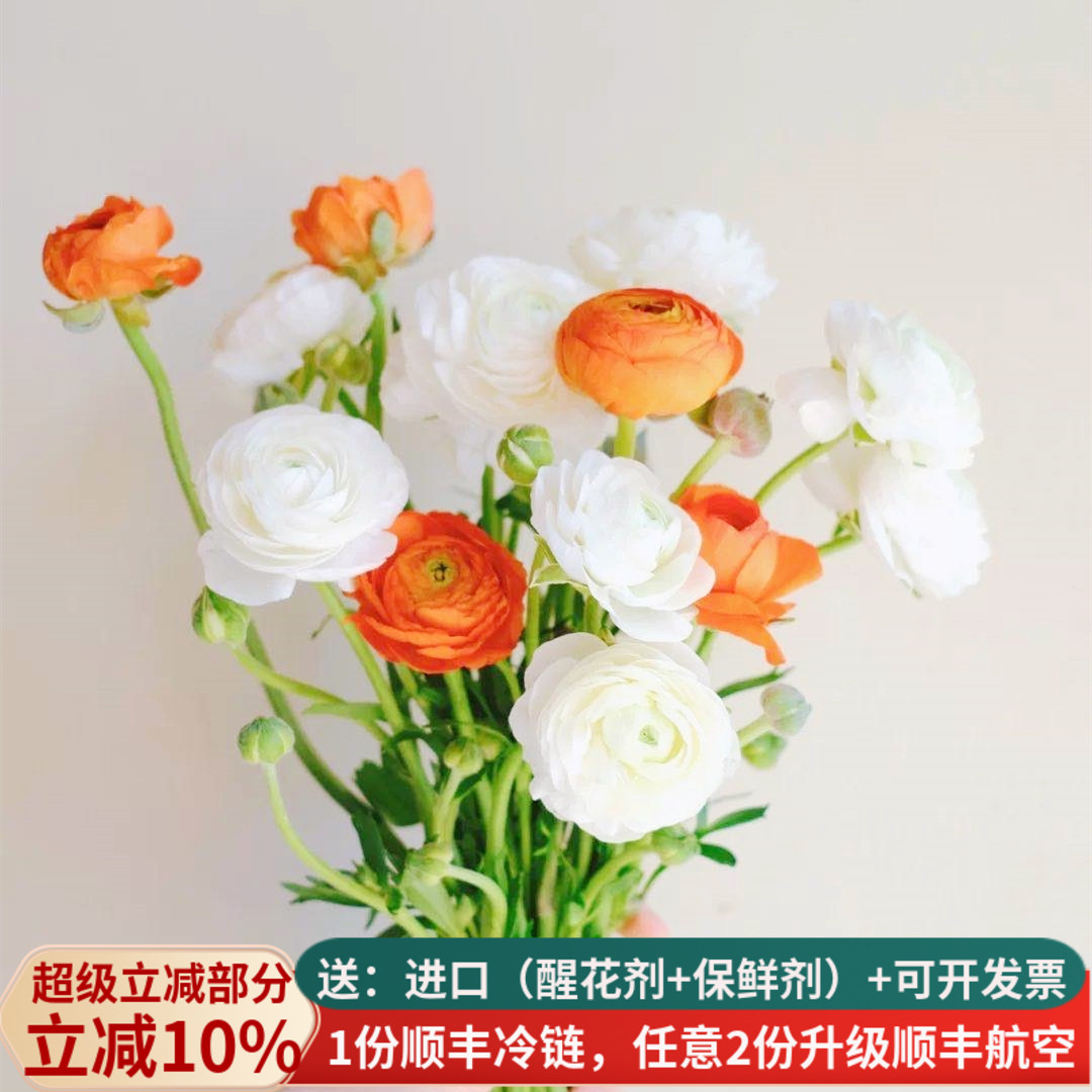 时令鲜花蝴蝶洋牡丹基地直发顺丰