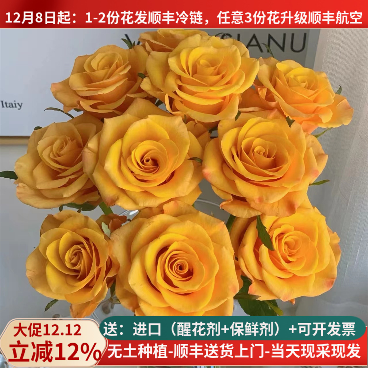 辉煌玫瑰鲜切花20朵母亲节插花