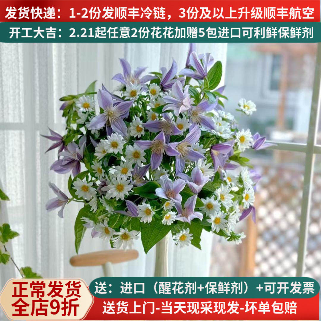 【言选进口高端花材】紫色铁线莲