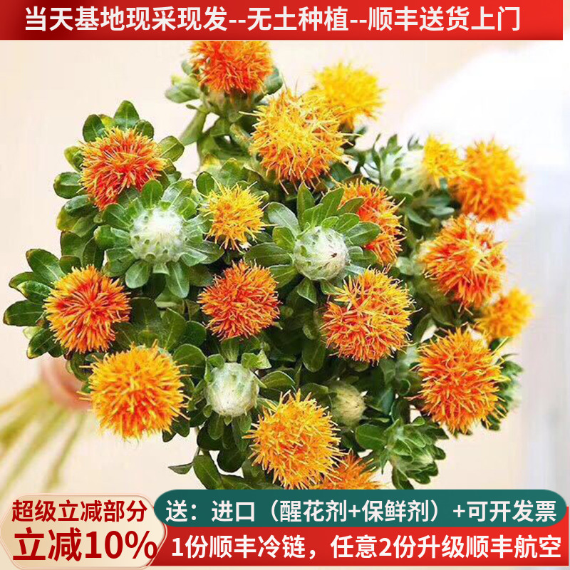 橙菠萝云南昆明基地斗南花市鲜花