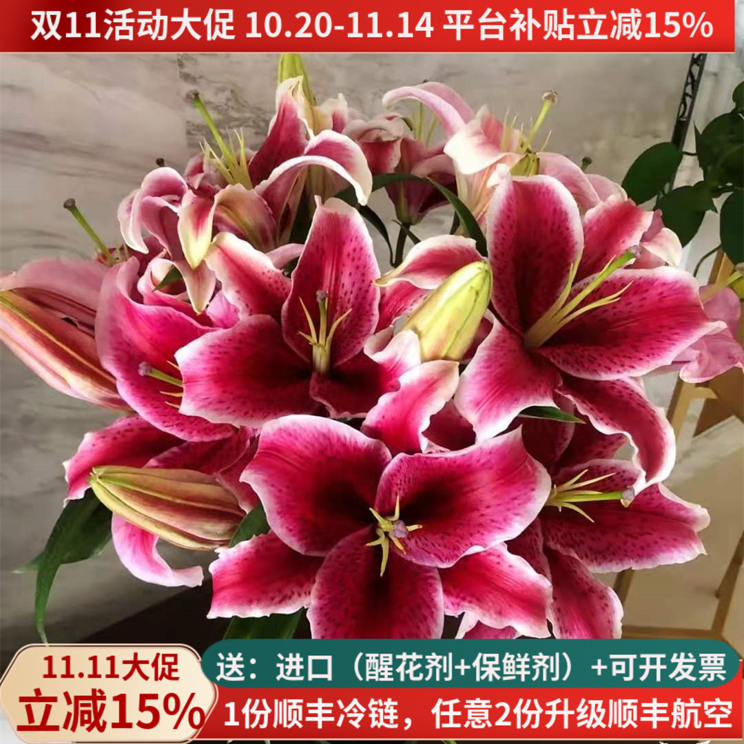黑美人香水百合鲜花教师节
