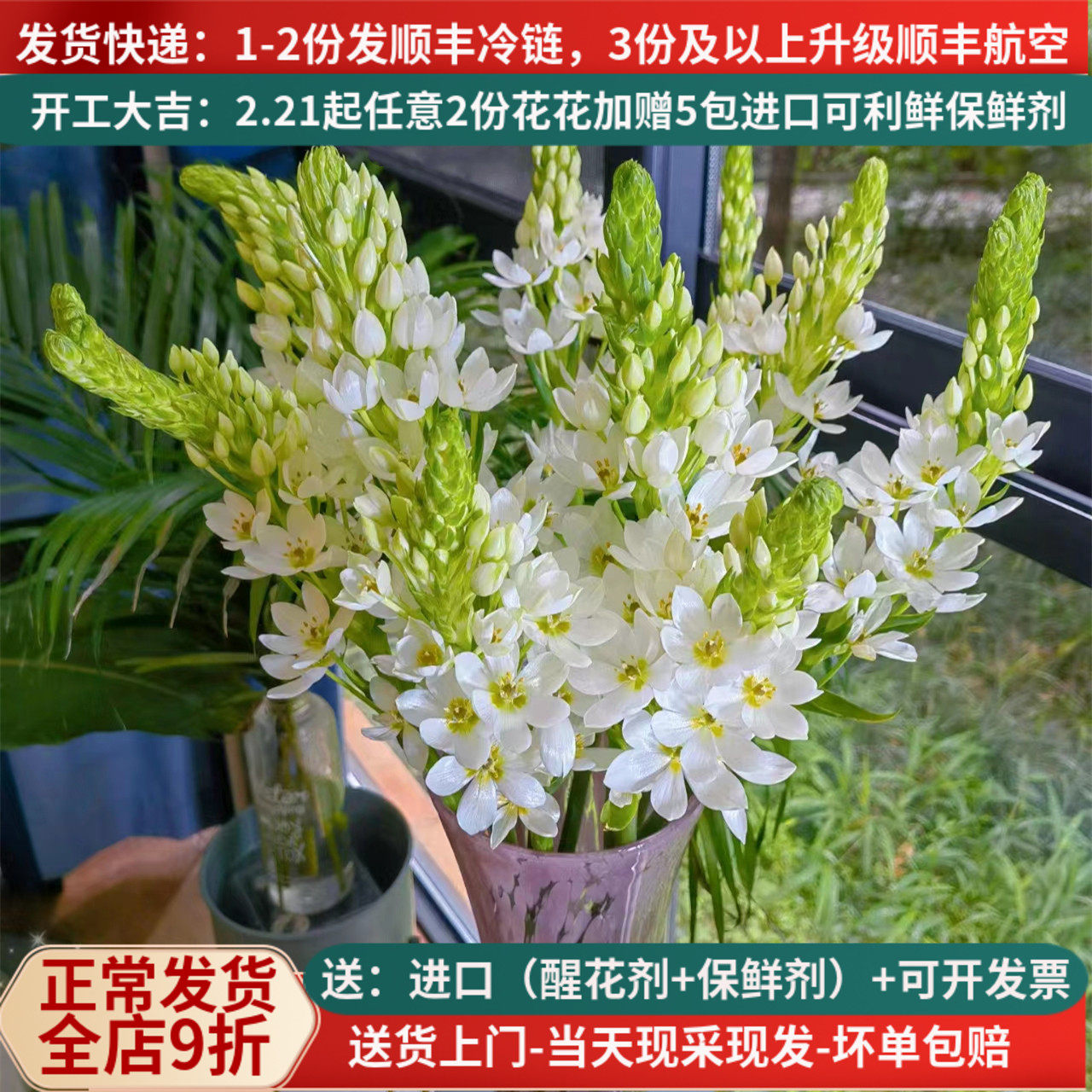 鲜切花圣心百合天鹅绒雀梅云南昆明基地直发顺丰室内水培花束