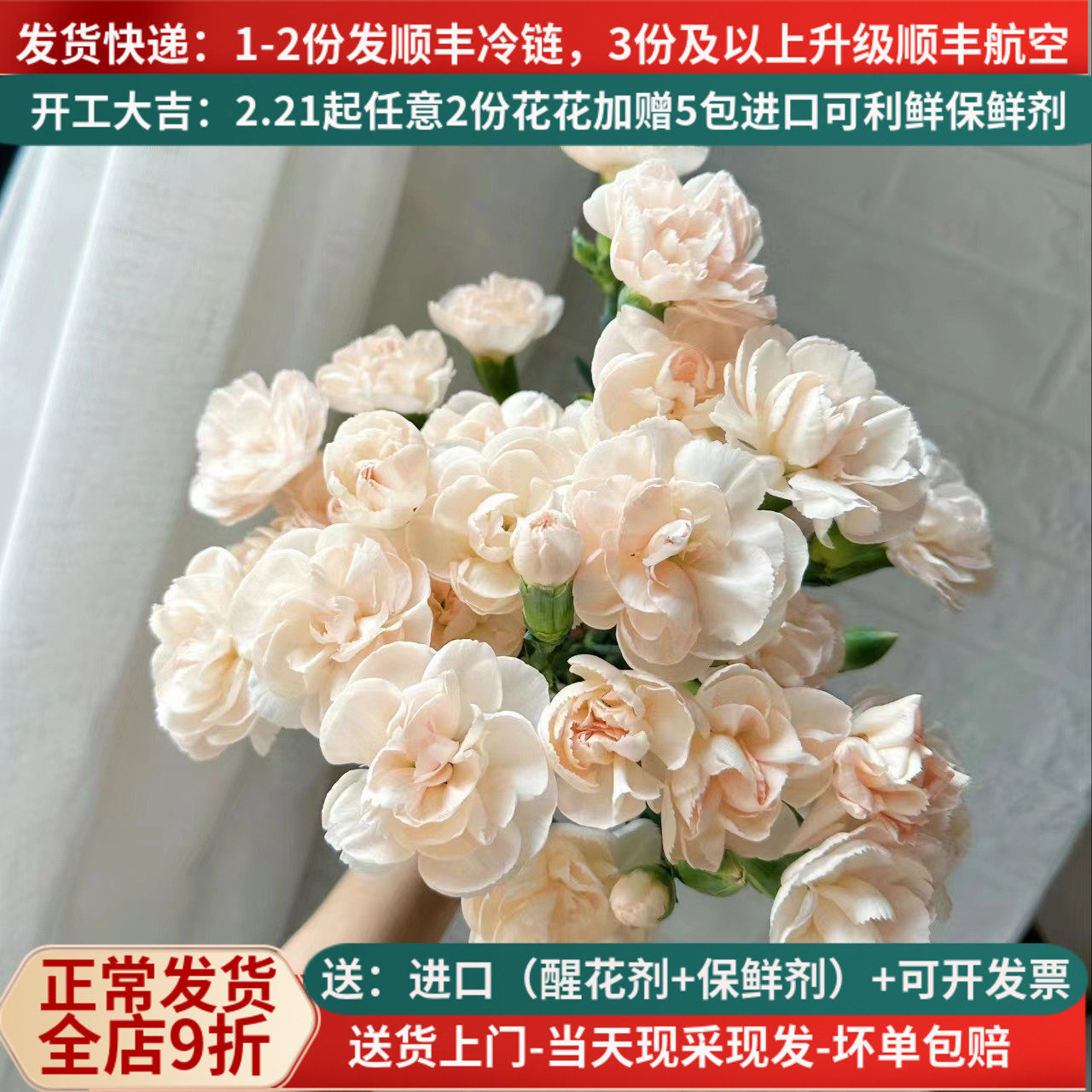 多头康乃馨流年云南昆明斗南基地直发顺丰带花苞室内水培插花束粉