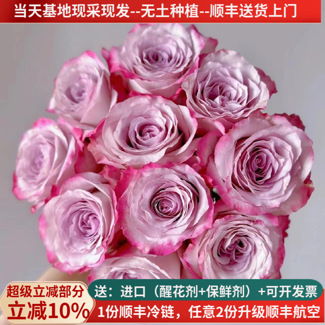 A级稀有玫瑰多色可选，荔枝雪山