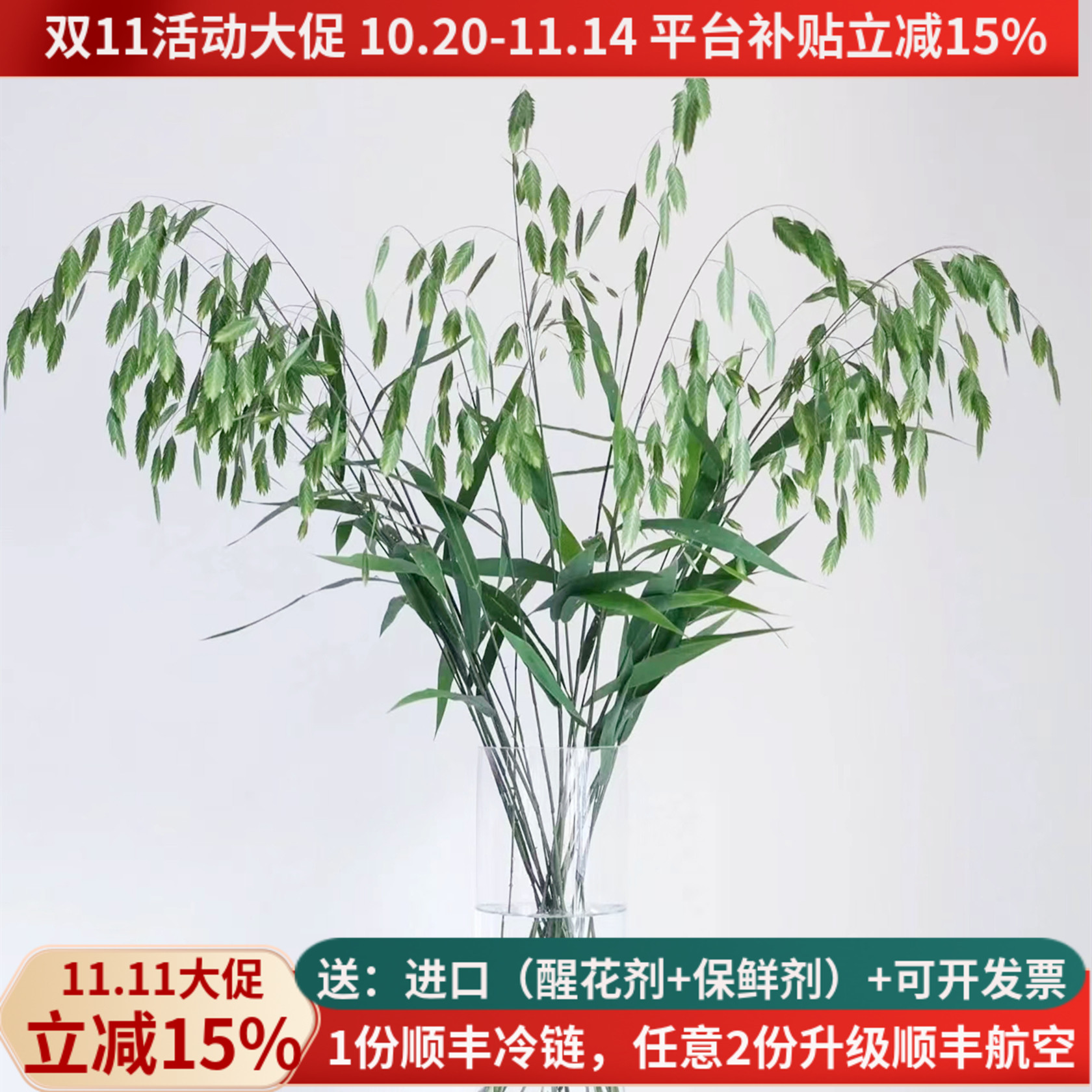 鲜花花卉小盼草云南基地直发家用水养婚庆花束昆明配草教师节顺丰