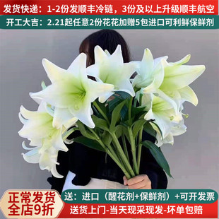 铁炮百合鲜花云南鲜切花基地直发昆明斗南直批空运水养花白色真花