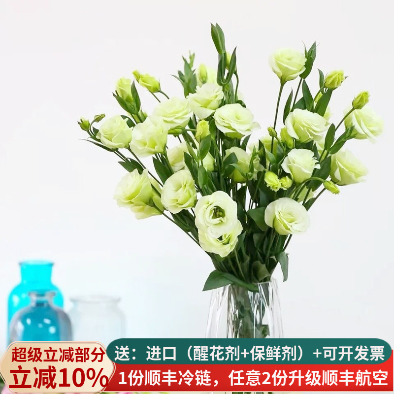 清新淡雅洋桔梗，西洋玫瑰花