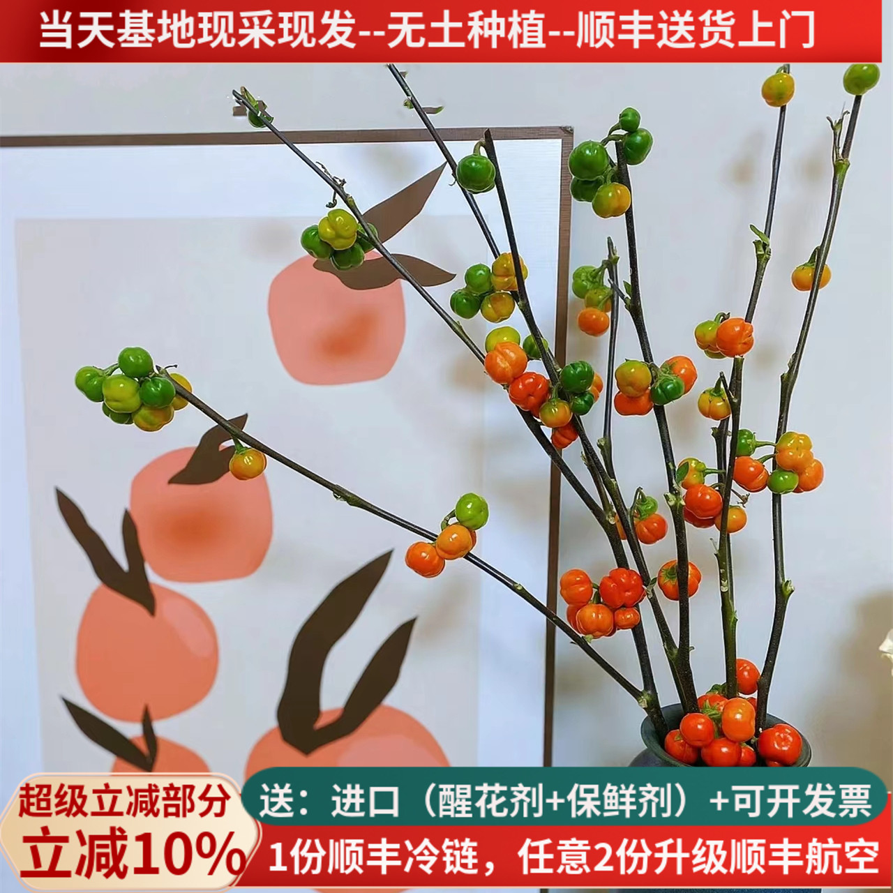 迷你小南瓜鲜花花束【基地直供】