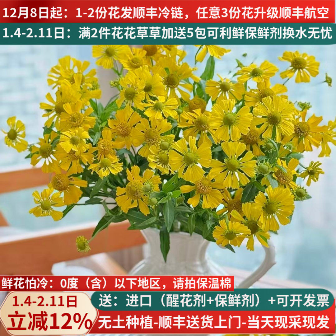 鲜切花油画小菊云南昆明斗南市场基地直发鲜花家用水养插花束黄色,鲜花速递/花卉仿真/绿植园艺,花材,淘宝优惠券,粉丝福利购,淘宝优惠卷