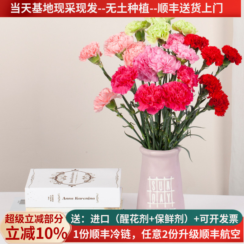 直发白粉长辈昆明斗南水养鲜花