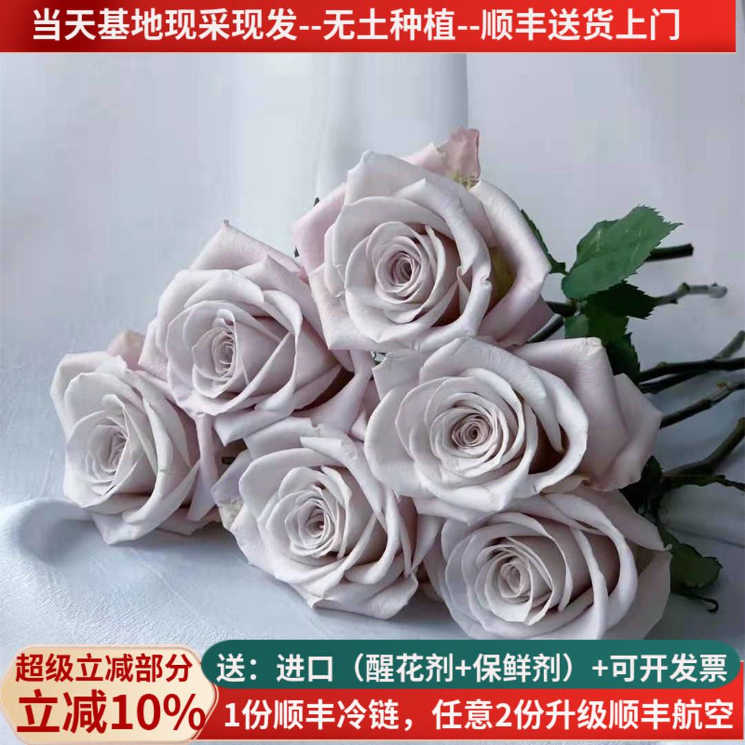 A级稀有玫瑰鲜花曼塔灰色情人节