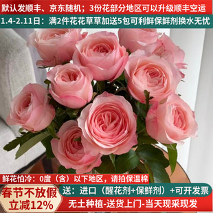 凯瑟琳粉色玫瑰花束云南昆明斗南鲜花基地直发顺丰生日礼物送人花