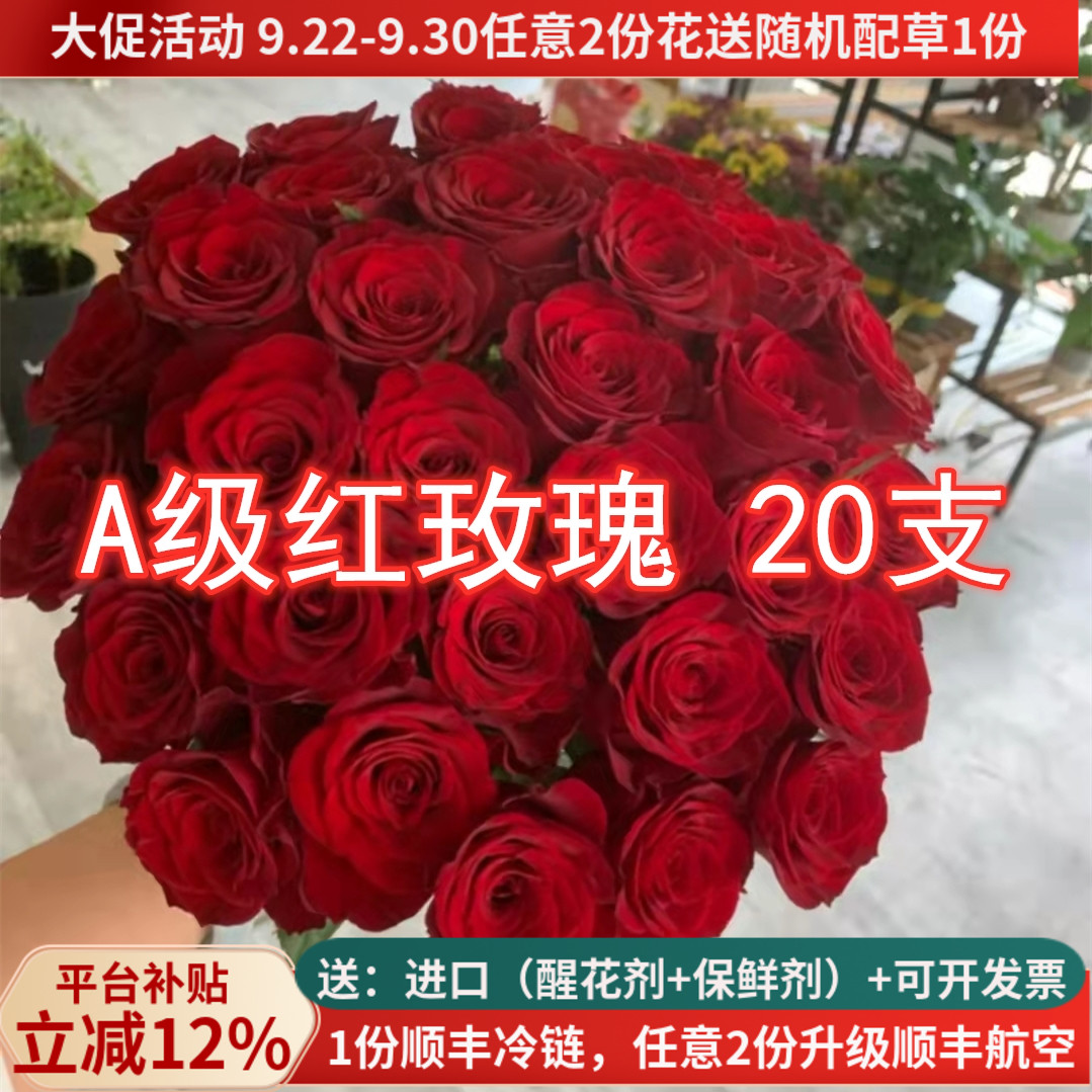 大花红玫瑰鲜花高原红传奇春节