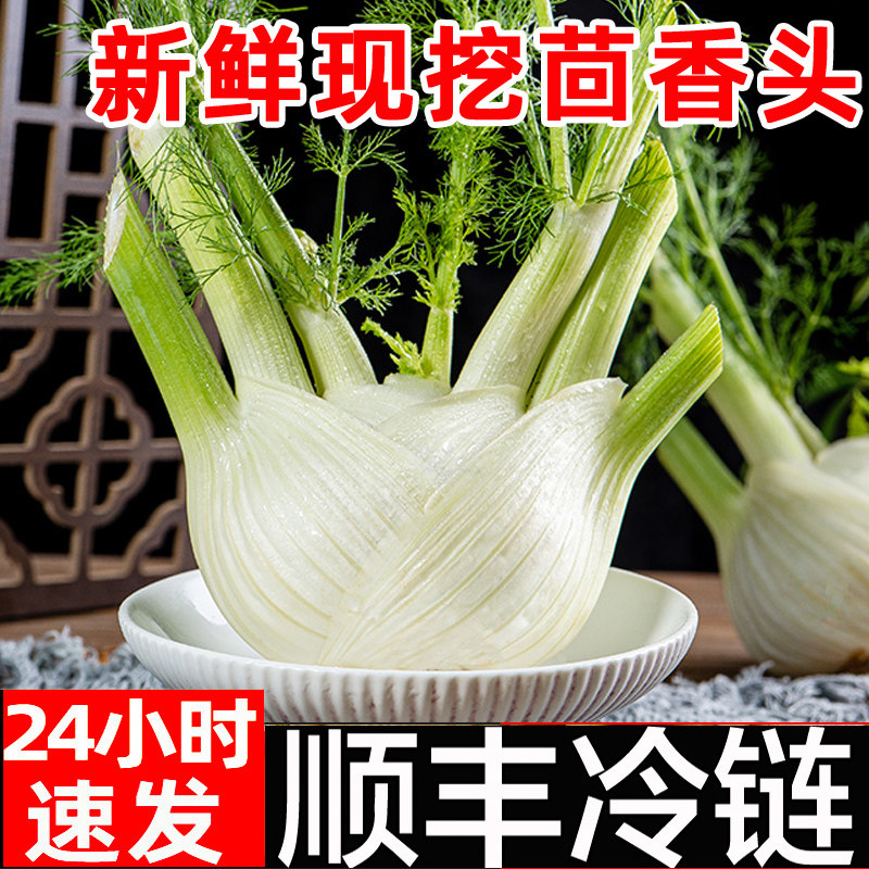 新鲜茴香头香料菜包邮5斤西餐配料调料球茎茴香菜蔬菜现挖顺丰