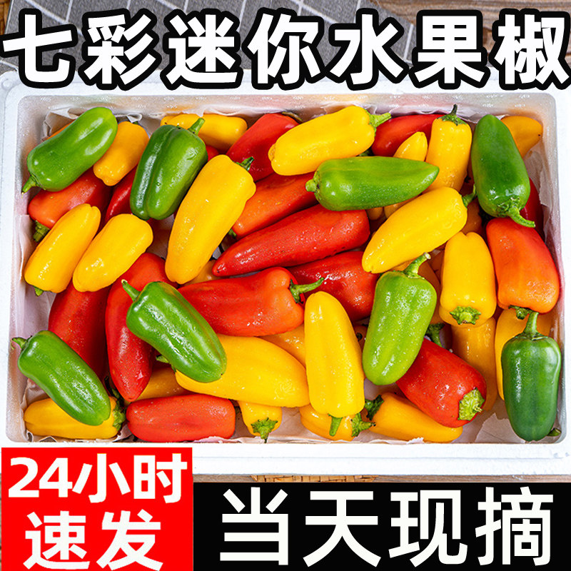 迷你水果椒当季新鲜生吃五彩甜椒生吃红灯笼小辣椒沙拉蔬菜包邮,水产肉类/新鲜蔬果/熟食,辣椒,淘宝优惠券,粉丝福利购,淘宝优惠卷