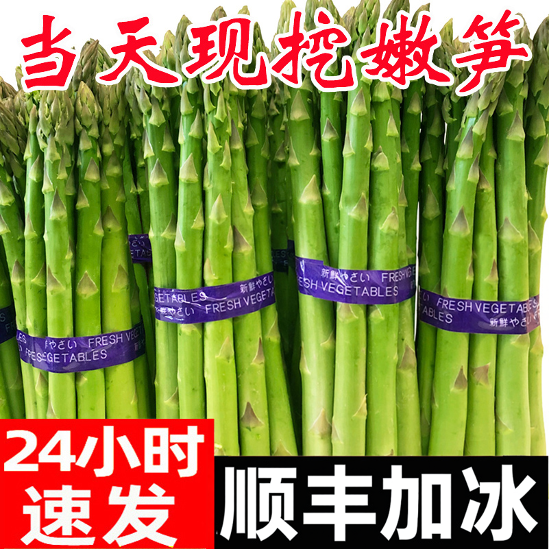 新鲜芦笋山东特产绿芦笋农家青笋新鲜蔬菜包邮春笋竹笋龙须菜