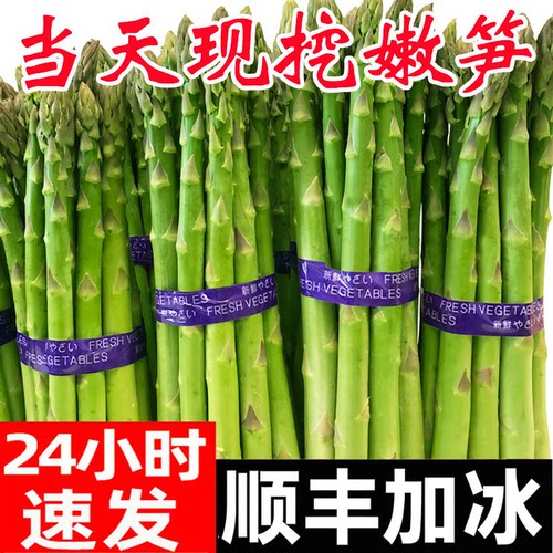 新鲜芦笋只发现挖嫩笋