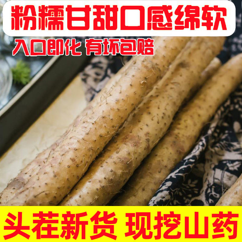 小白嘴山药5斤新鲜麻山药农家蔬菜垆土铁棍山药怀山淮山药片包邮