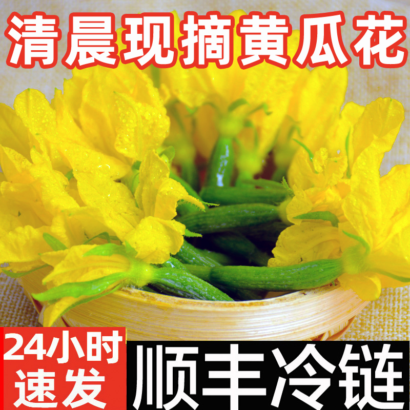 顺丰包邮现摘小黄瓜花青瓜顶花