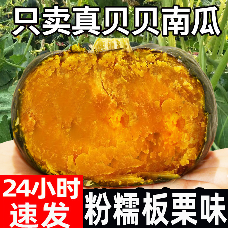 真贝贝小南瓜粉糯香老南瓜精品