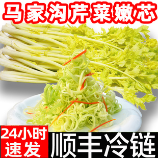 马家沟芹菜芯新鲜奶油芹菜大叶黄顺丰嫩芯西芹鲍芹蔬菜无渣芹菜