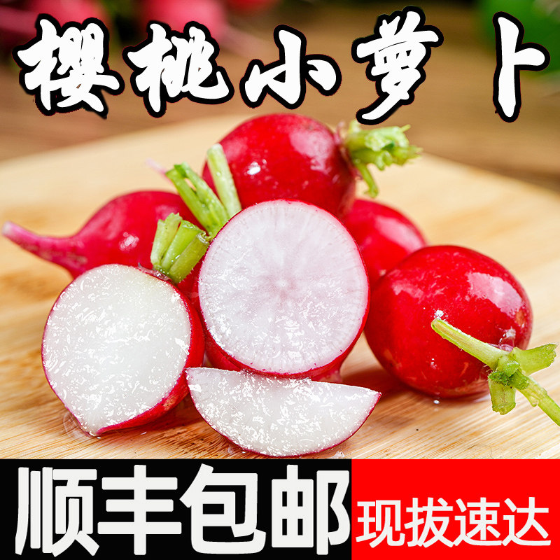 樱桃萝卜新鲜水果红皮甜脆生吃顺丰蔬菜蘸酱菜小红萝卜红丁潍坊胡,水产肉类/新鲜蔬果/熟食,萝卜/胡萝卜,淘宝优惠券,粉丝福利购,淘宝优惠卷