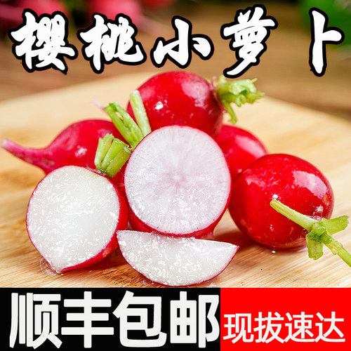 樱桃萝卜新鲜水果红皮甜脆顺丰