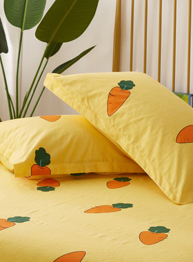 简约纯棉枕套儿童卡通30x50cm学生宿舍40x60cm单双人长方形48x74c