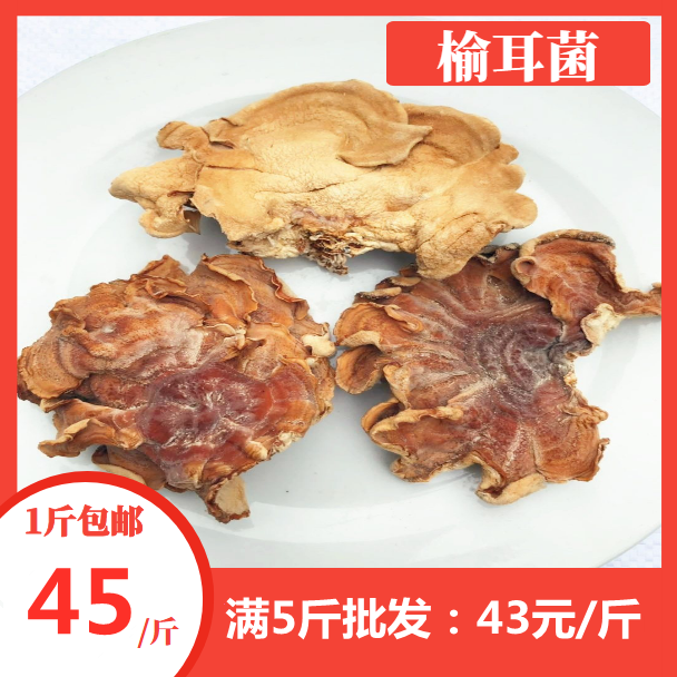 榆耳菌菇特级头茬新货农产品灵芝菌香菇牛独菌鹿肝菌榆树菇榆蘑菇