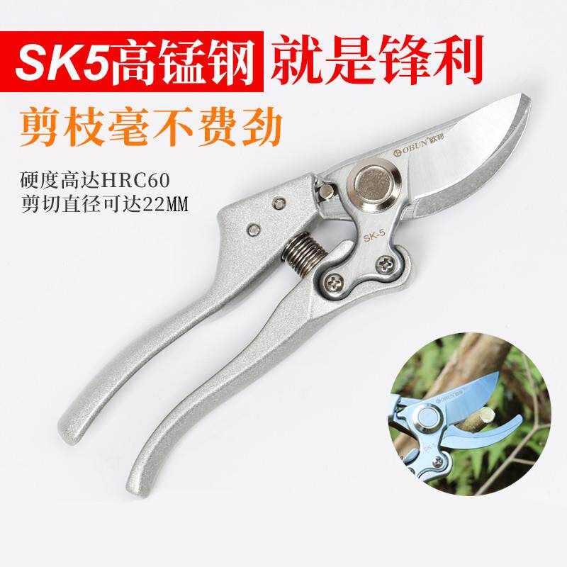 进口SK5锰钢修枝剪刀树枝剪果枝花枝剪果树剪刀园林园艺粗枝剪