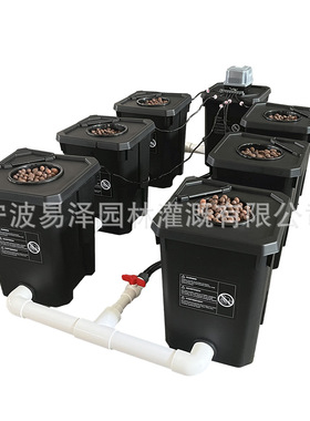 RDWC-6个种植桶系统 深液水循环水培系统hydroponics system