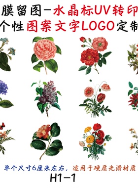撕膜留图仿古花卉水晶标转印贴