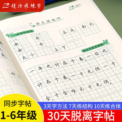 赵汝飞练字小学部编版梯形格字帖