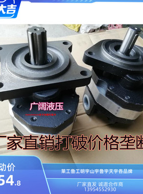 装载机齿轮泵 行走泵 举升泵 液油泵cbg1045 1018 CB-FC 32 40 50