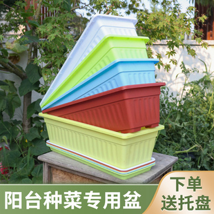 盆栽种植盆种菜神器家庭阳台种菜盆蔬菜花盆思威博塑料长条霍仑盆
