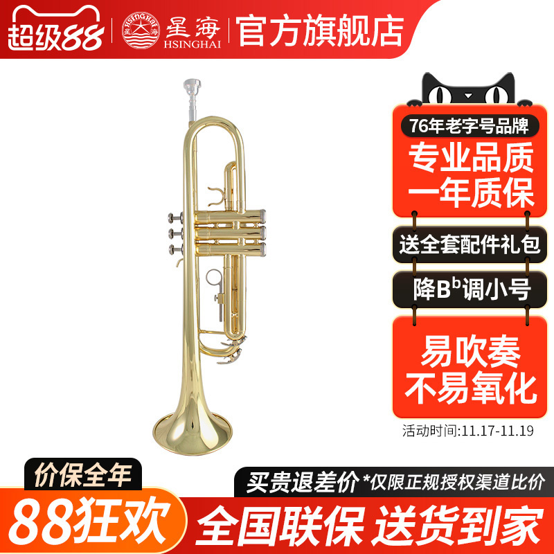 星海小号乐器xt-120专业演奏学生