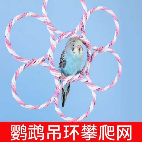 鹦鹉攀爬行网鸟类虎皮牡丹玄凤秋