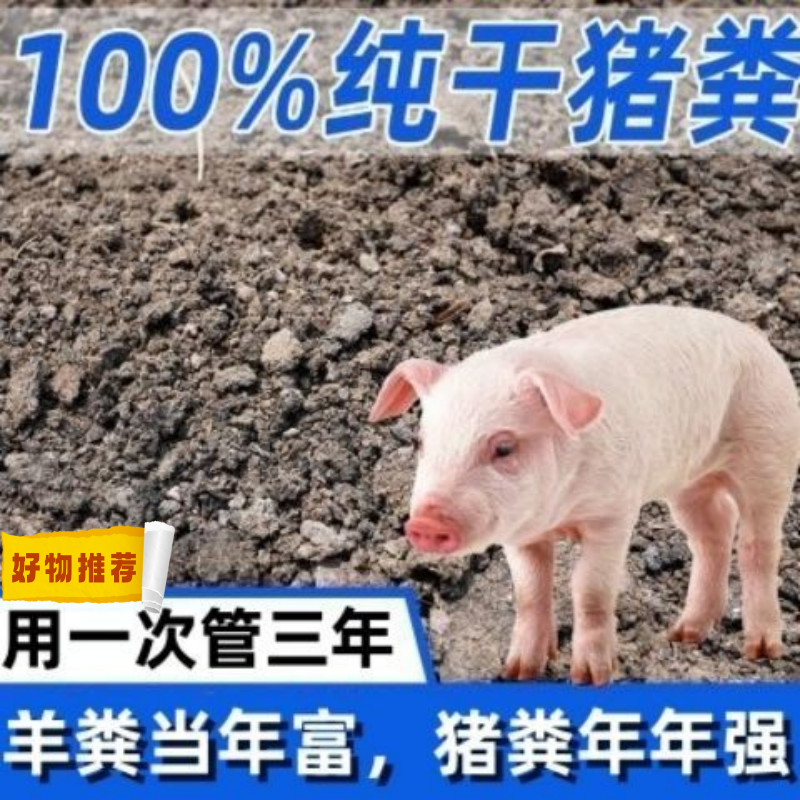 猪粪发酵有机肥料晒干发酵