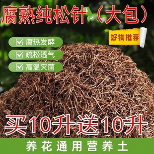 松针纯发酵无土松针养花盆栽改良土壤通用有机营养土绿植土纯松针