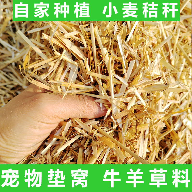 新小麦秸秆碎麦草鸟鸽子宠物垫窝保暖牛羊干草料兔子装修和泥装饰,宠物/宠物食品及用品,爬宠垫料,淘宝优惠券,粉丝福利购,淘宝优惠卷