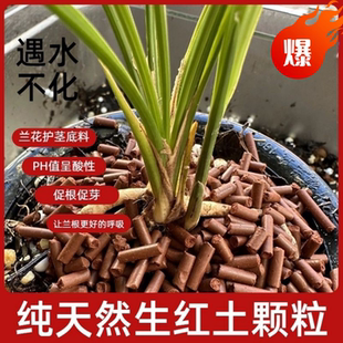兰花专用生红土颗粒兰花护茎土酸性生红土压缩颗粒土酸性促根促芽