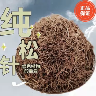 纯松针无土腐熟发酵兰花君子兰杜鹃花专用酸性营养土腐殖土介质
