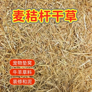 小麦秸秆天然宠物窝鸡窝草牛食料干麦秸装饰填充狗鸭窝草晒干秸秆