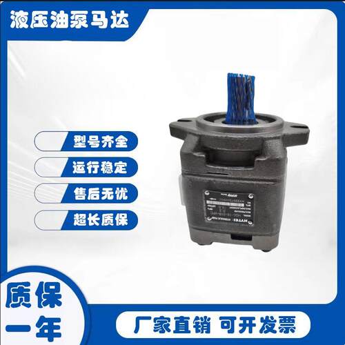 新款海特克内啮合齿轮泵CP1/HG1-25/32/40/50/63/80-01R包邮