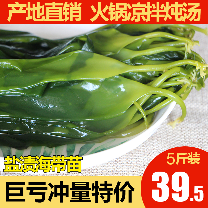 霞浦海带苗嫩特级5斤火锅食材