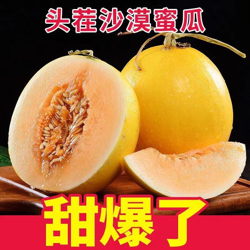 大果现摘头茬哈密瓜沙地金红宝蜜瓜黄河蜜瓜黄金香瓜甜瓜脆瓜大瓜
