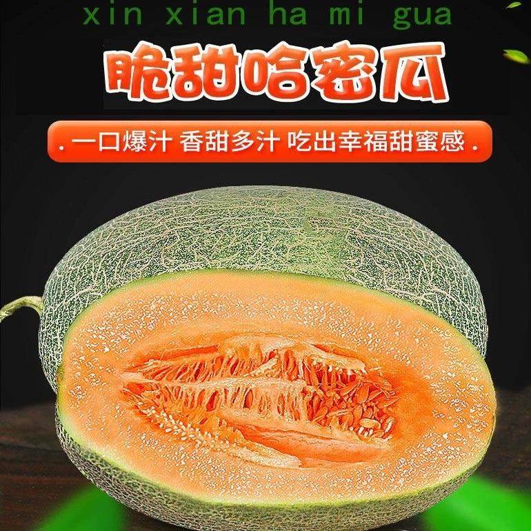 现摘新鲜山东哈密瓜水果当季网纹蜜瓜孕妇玫珑玲玉甜瓜冰淇淋超甜,水产肉类/新鲜蔬果/熟食,哈密瓜,淘宝优惠券,粉丝福利购,淘宝优惠卷