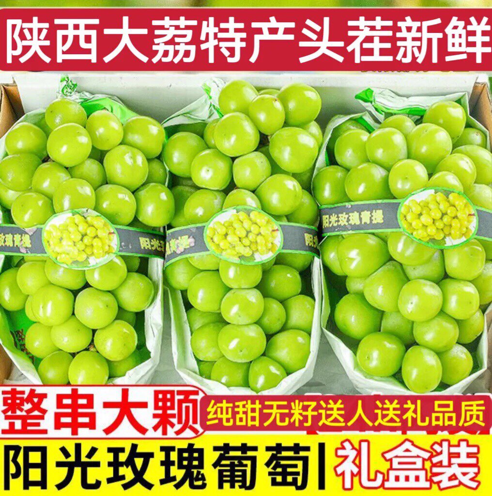 新鲜现摘阳光葡萄青提礼盒装香印葡萄/提子