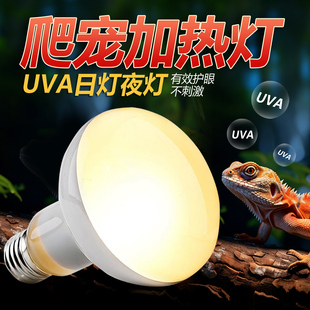 UVA加热日灯夜灯爬虫爬宠陆龟箱蜥蜴日间保温饲养箱缸晒背太阳灯